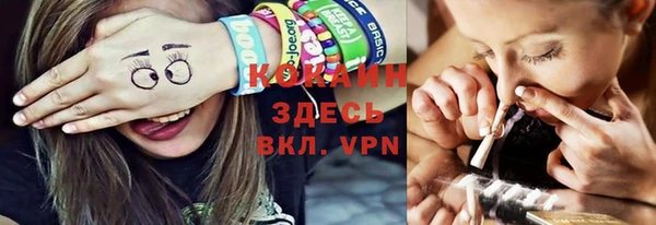 шишки Беломорск