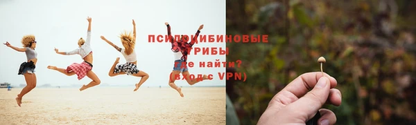 шишки Беломорск