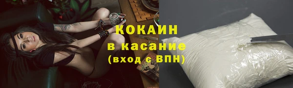 шишки Беломорск